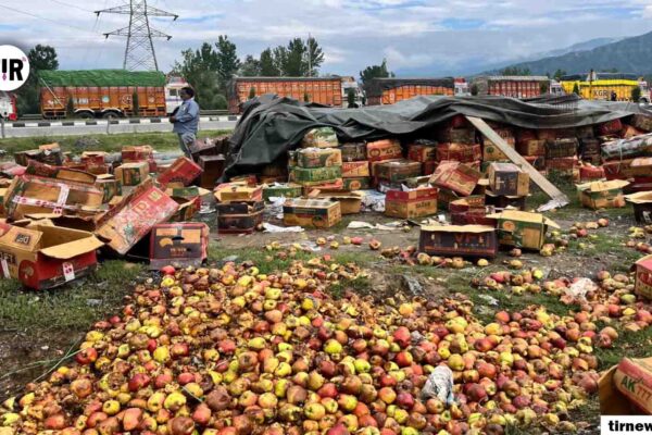 Rotten apples lie discarded from boxes along Srinagar-Jammu highway in Qazigund, as the road blockade cripples Kashmir’s ₹12,000-crore apple industry. [FPK Photo / Umar Farooq
