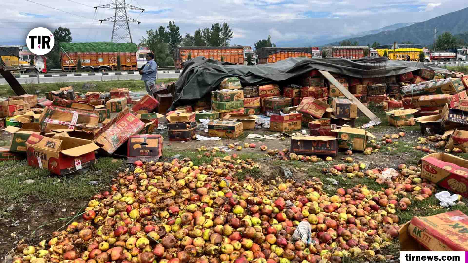 Rotten apples lie discarded from boxes along Srinagar-Jammu highway in Qazigund, as the road blockade cripples Kashmir’s ₹12,000-crore apple industry. [FPK Photo / Umar Farooq
